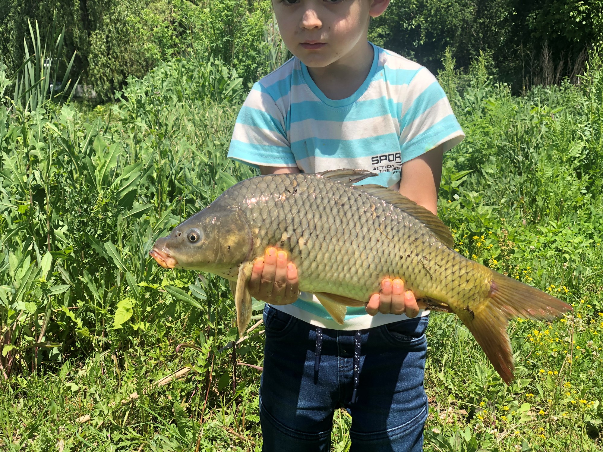 Hermes Peris 1 iun. - C2CC887822A4489B9D69EF47AEA08738.jpg